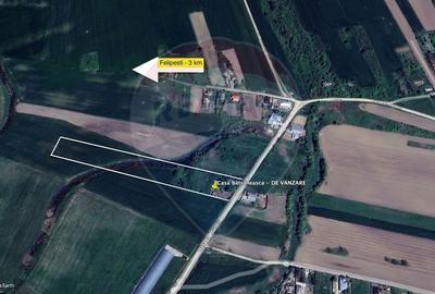 Casă individuală cu 3 camere cu Canalizare în Filipești - 3