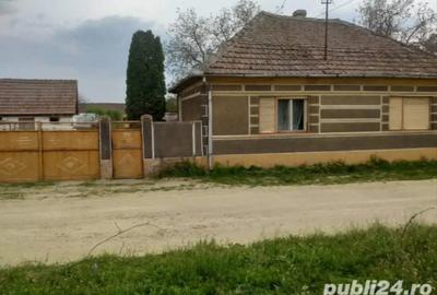 Casa de vinzare in Paulis Arad - 3