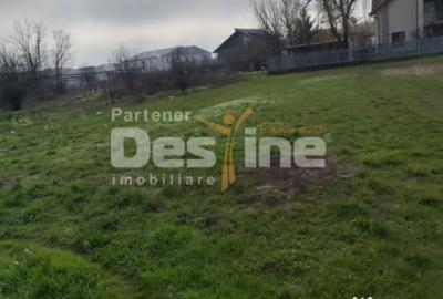 Teren de 600 mp, în Domnești