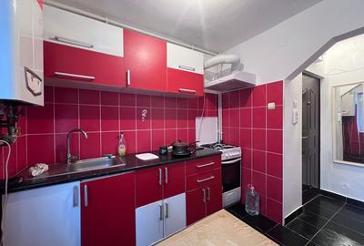 Apartament cu 2 camere semidecomandat în Gojdu - 8