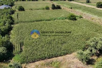 Teren de 3866 mp, în Izvoare (Dumbrava Roșie) - 1