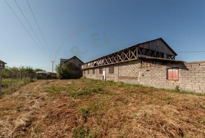 Casa pentru oameni gospodari - Bradu - 15 minute de Pitesti - 10