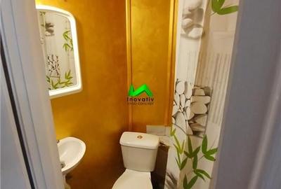 Garsoniera de vanzare mobilata utilata Sibiu Terezian - 7