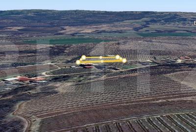 Spațiu comercial, în Plopu - 3