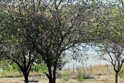 Casă cu 2 camere în Câmpenești - 1