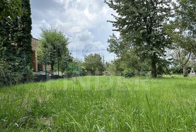 Teren 1000 mp cu Autorizație Construcție  - Făget, zona superba - 3