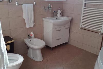 Casă cu 3 camere în Mărăcineanu - 6