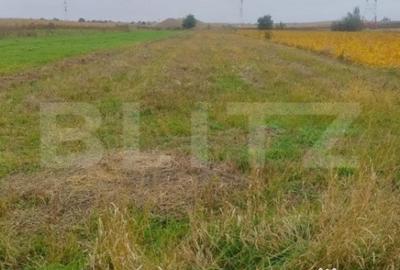 Teren de 2600 mp, în Rădăuți - 2