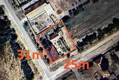 Casa de vanzare in Firiteaz, 24 km de Arad, 2787 metri patra?i. - 8