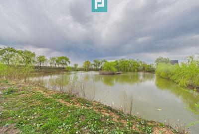 Teren agricol extravilan de 10000 mp, în Alioș - 2