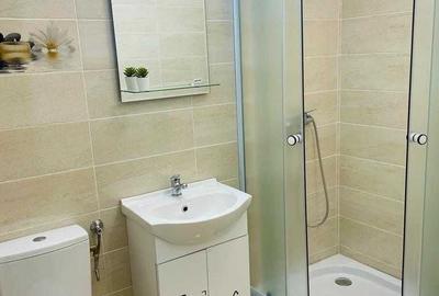 Apartament cu 3 camere decomandat, mobilat în Mihai Bravu - 8