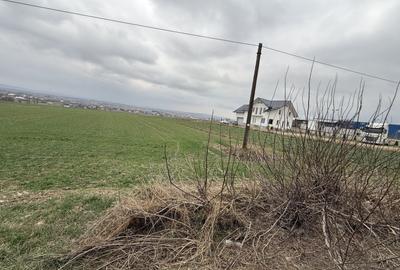 Teren Construcții intravilan de 3255 mp, în Grănicești - 5