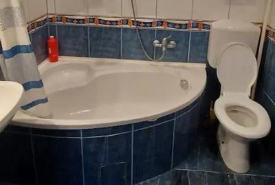Casă cu 3 camere în Terezian - 9