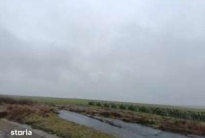 Teren de 14000 mp, în Central - 2