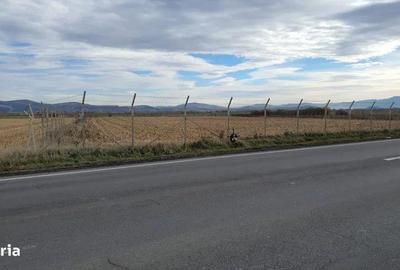 Teren de 14450 mp, în Ciupercenii Noi - 1