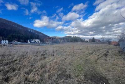 Teren în Bunloc - 3