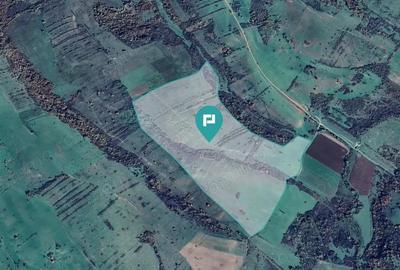 Teren arabil de 87 hectare in Bara, Timi? - 6