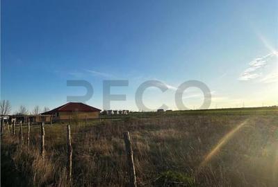 RECO Teren intravilan , Comuna Paleu , Bihor - 2