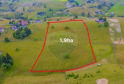 COMISION 0% Teren 19.300 mp/?irnea/ Oportunitate de inve... COMISION 0% Teren 19.300 mp/?irnea/ Oportunitate de inve... - 2