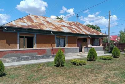Teren de 2300 mp, în Snagov - 5