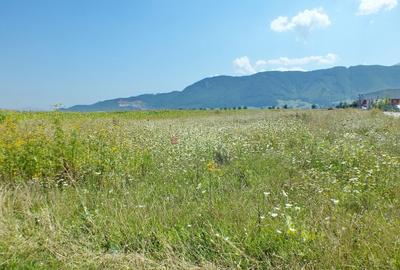 Teren agricol intravilan de 18000 mp, în Cristian - 1