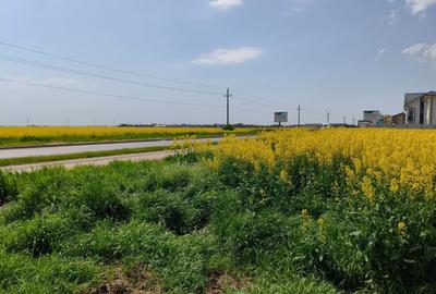 Teren 469 mp Vidra - utilitati la lot, plata in rate - 6