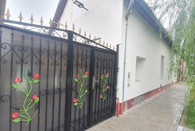 Casa in Csanadpalota-Ungaria - ID : RH-40568-property - 11