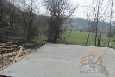 Proprietate de vacanta, pensiune si pastravarie - 4