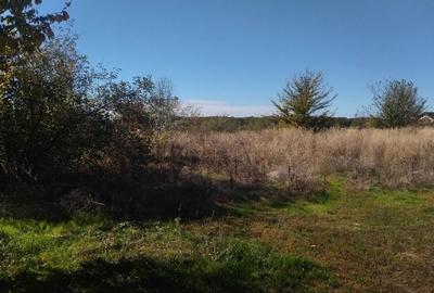 Teren 1000 mp intravilan Ciolpani-Piscu - 3