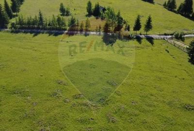 Teren Construcții intravilan de 19370 mp, în Neagra Șarului - 9