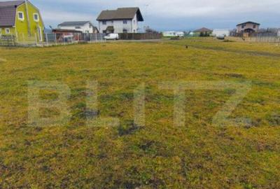 Oportunitate investitie teren intravilan Bod - 3