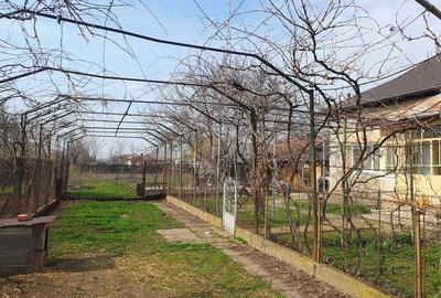 Casă cu 4 camere cu Teren 2040 Mp în Vișina - 3