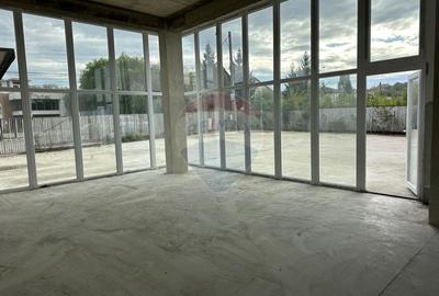 Spatiu industrial - strada Mihai Eminescu Spatiu industrial - strada Mihai Eminescu - 6