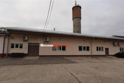 Hala de inchiriat in Marghita - 6