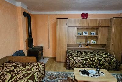 Casă cu 3 camere în Chiochiș - 2