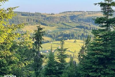 Teren de 500000 mp, în Ciocănești - 7