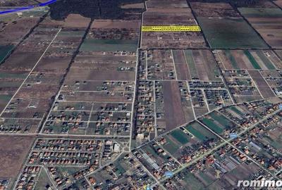 Terenuri Mosnita, Padurea Bistra, cu utilitati: 80euro/mp+TVA - 1