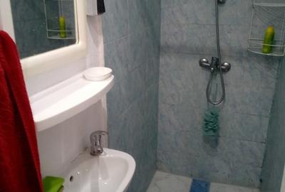 Proprietar inchiriez apartament 1 camera la curte - 3