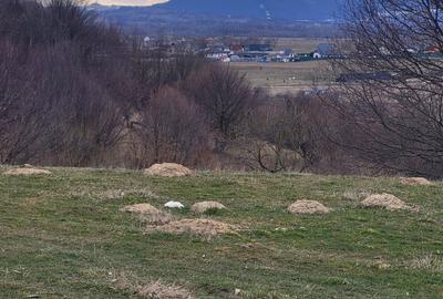 Spațiu comercial, în Central - 1