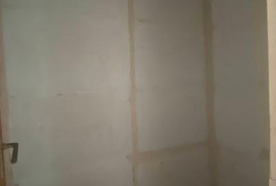 Vand ap 3 cam , Eremia Grigorescu, 69500 euro - 10