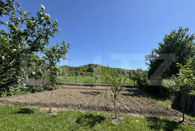 Casă cu 4 camere cu Teren 13000 Mp în Primăverii - 11