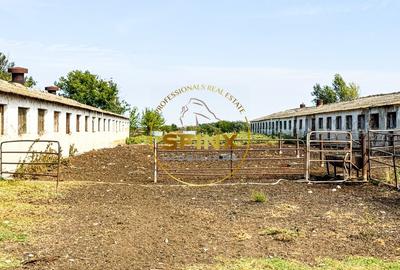 Teren intravilan cu potential de investitie 62000mp - 6