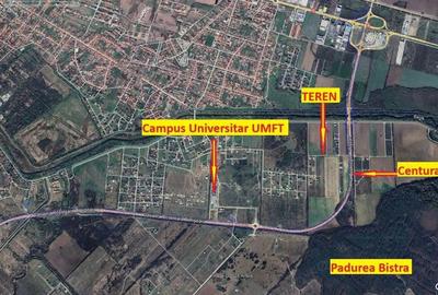 603mp Teren Ghiroda-Cartier Bistra-toate utilitatile - 2