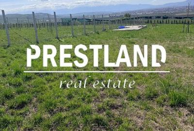 Spațiu comercial, în Central - 3