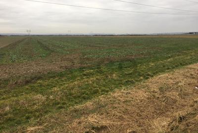 Reco Teren Intravilan in Chiribis - 3