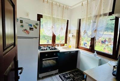 Casă cu 4 camere cu Teren 5500 Mp în Pojorâta - 11