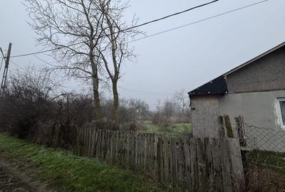 Teren de 2461 mp, în Sârbeni - 7