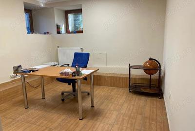 Spatiu de birou, demisol, vila, Parcul Carol Unirii, cu gradina - 3