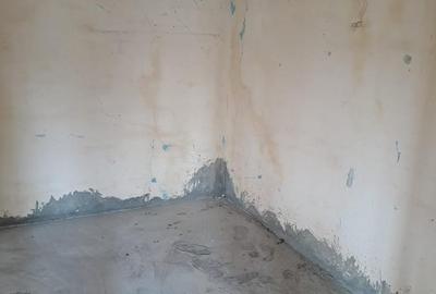 Casă cu 4 camere cu Teren 1300 Mp în Dascălu - 9