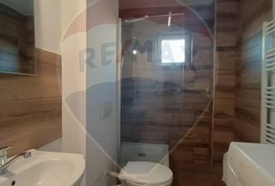 Apartament cu 3 camere de inchiriat in zona Podgoria - 4